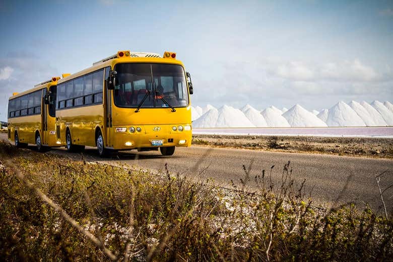 Tour panoramico di Bonaire