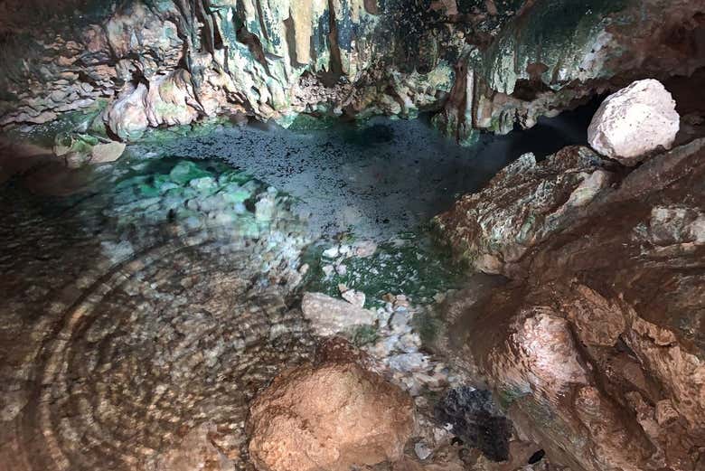 Vous visiterez trois des nombreuses grottes de l'île de Bonaire