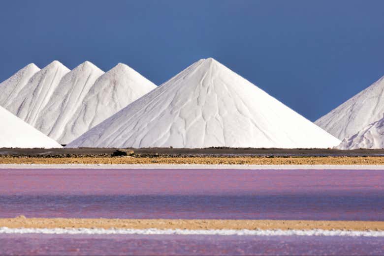 Salinas del sur de Bonaire