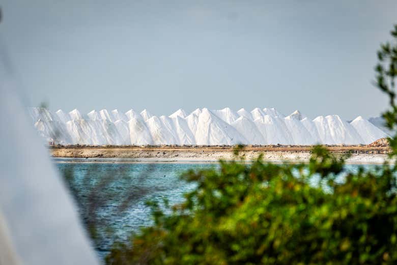 Salinas de Bonaire, las más destacadas del Caribe neerlandés