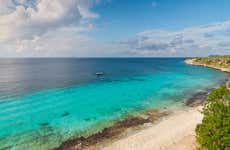 Passeio de barco com visão submarina