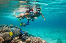 Snorkel en los arrecifes de Bonaire