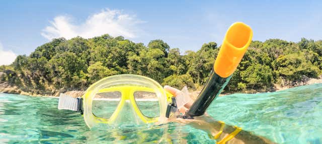 Snorkelling in Bonaire