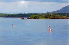 Northern Bonaire Private Tour