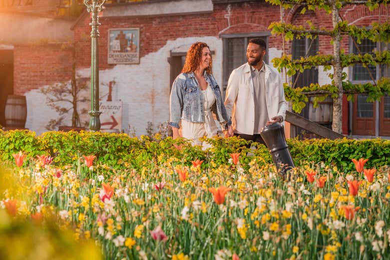 Paseando entre flores