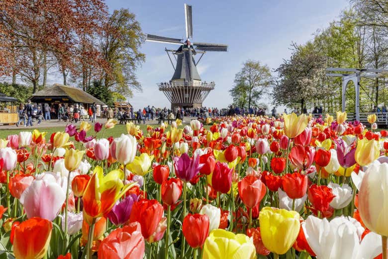 Parque de Keukenhof