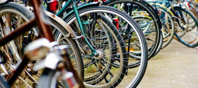 Tour en bicicleta por La Haya