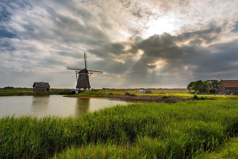 Paisajes rurales de Holanda meridional