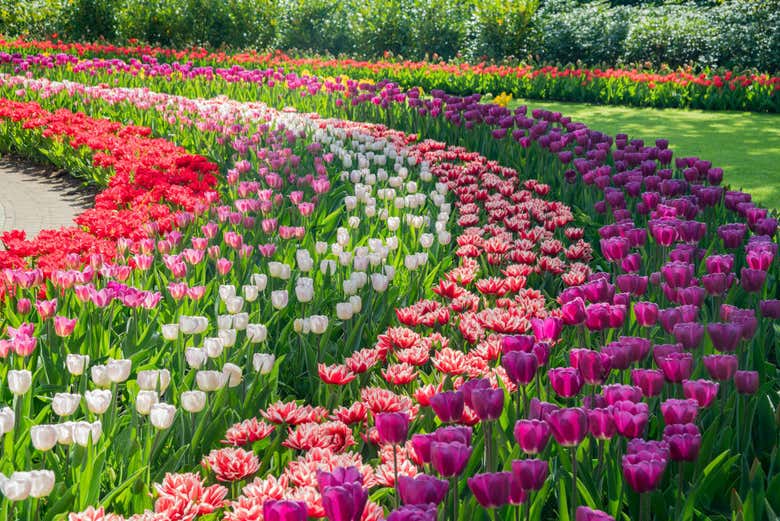 Jardins Keukenhof