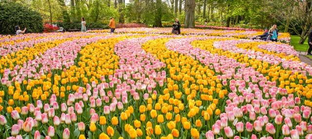 Billet pour Keukenhof