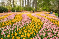 Keukenhof Tickets
