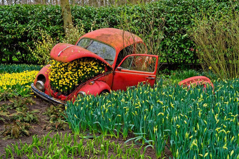 Un coche repleto de flores