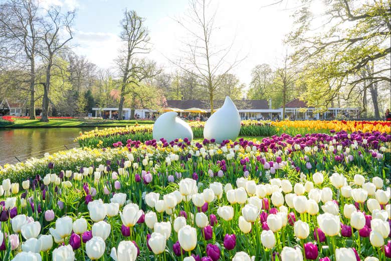 Beau jardin