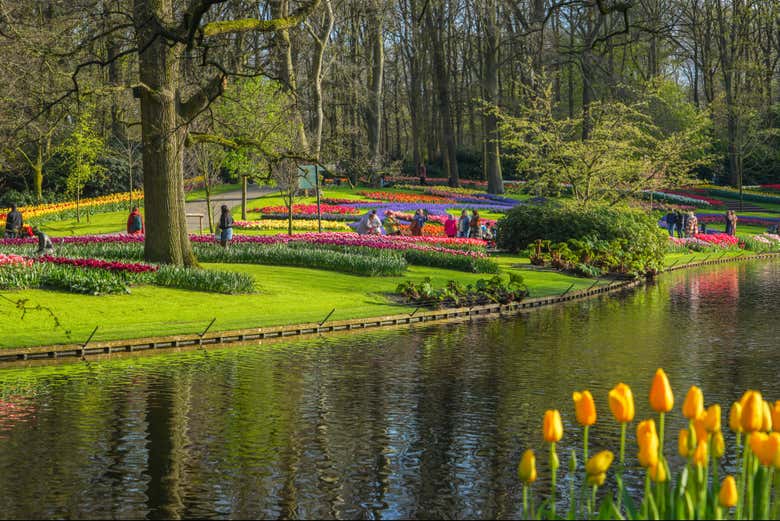 Vous pourrez explorer l'ensemble du parc de Keukenhof