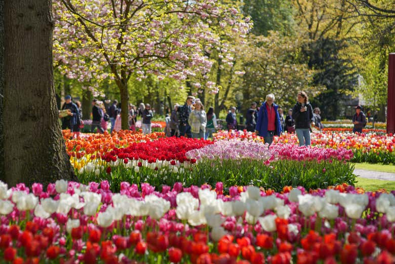 Promenade dans le parc Keukenhof
