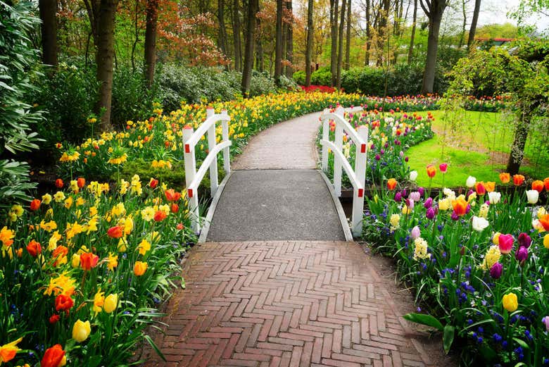 Caminhos do Keukenhof