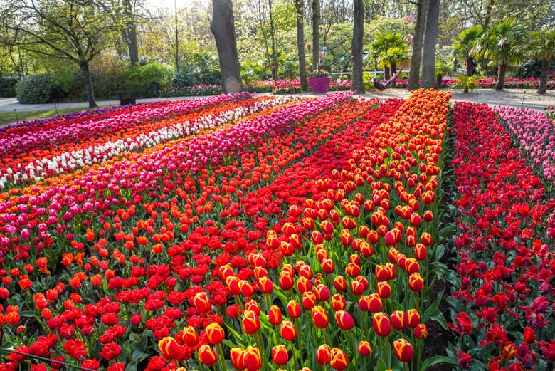 Une visite haute en couleurs !