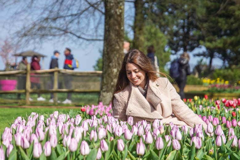 I colori della primavera