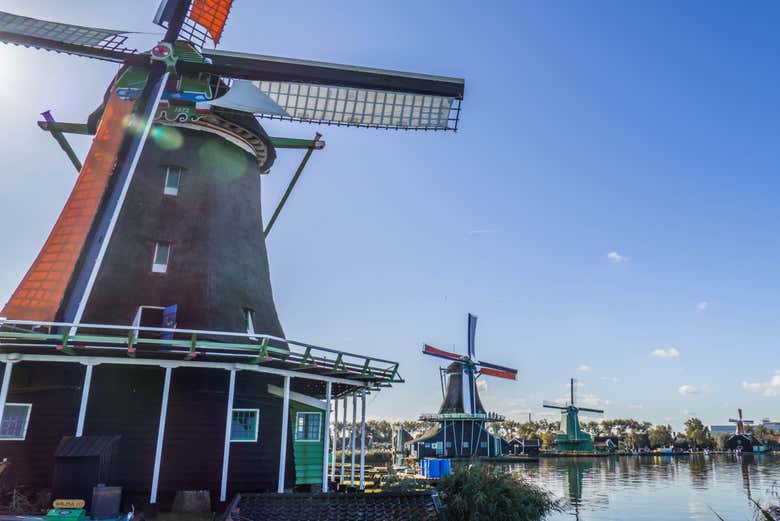 Admirando los famosos molinos de viento holandeses