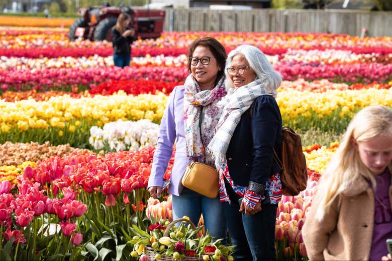 Il giardino di Tulip Experience Amsterdam