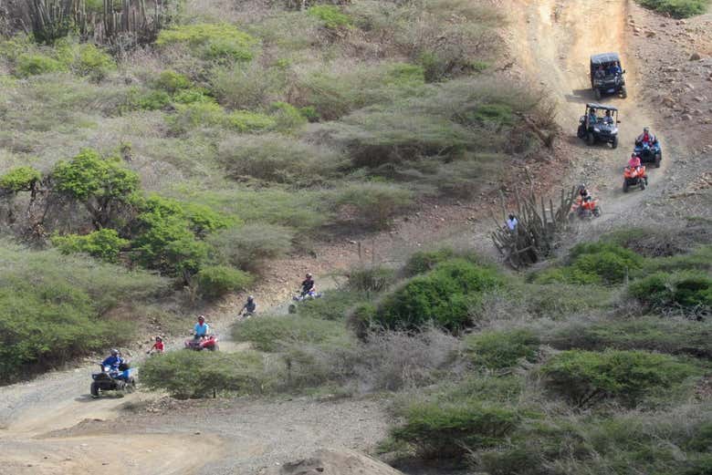 Desfrutando do dia conduzindo
