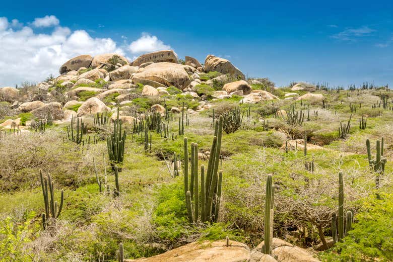 Terreno desertico di Aruba