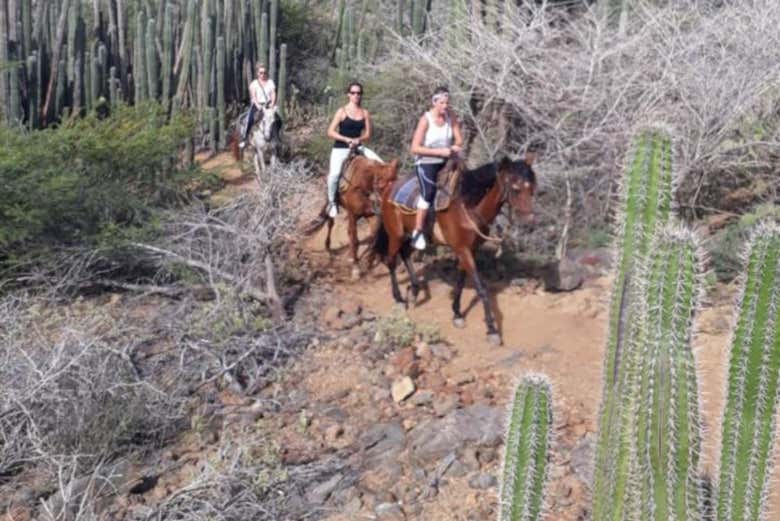 Balade à cheval