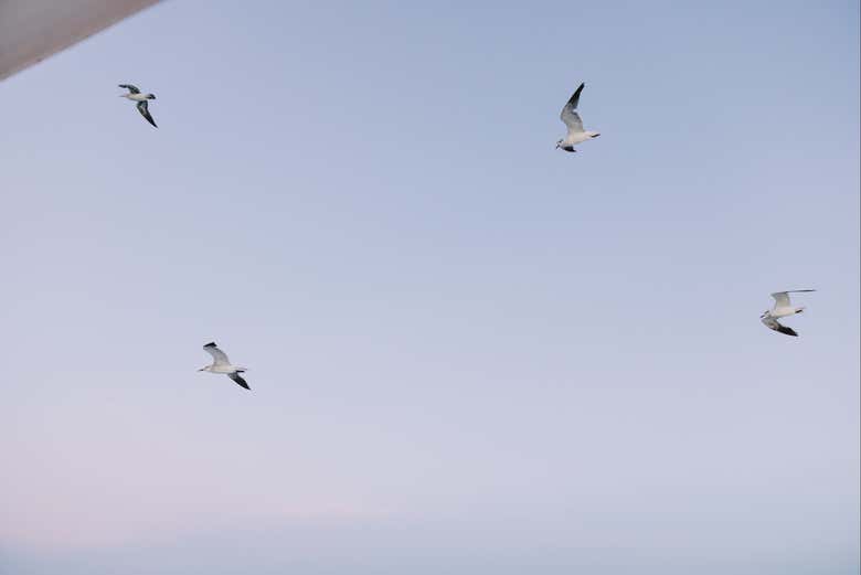 Cielo desde el catamarán 