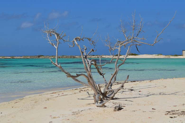 Paisaje en Baby Beach