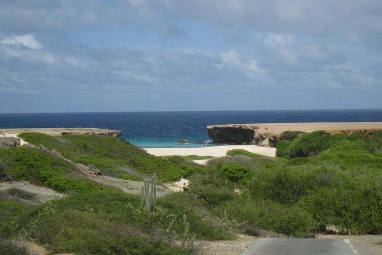 Disfrutando de los paisajes del parque 