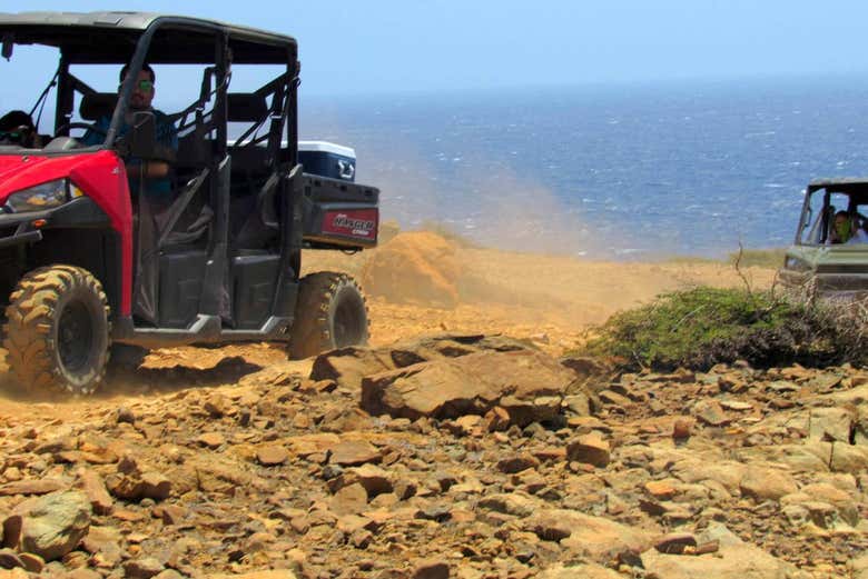 Alla guida del buggy