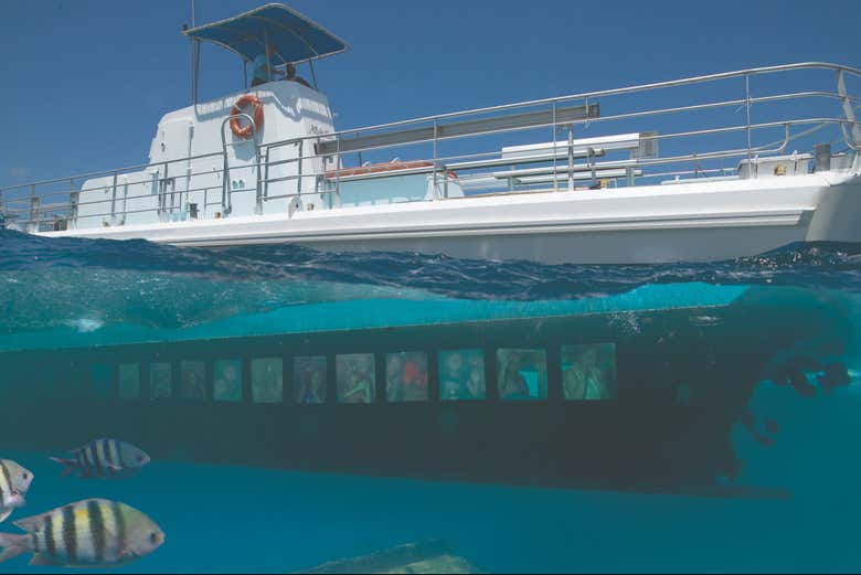 El barco con grandes cristaleras en su fondo