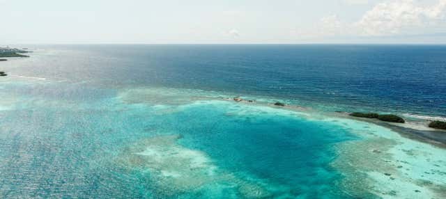 Balade en kayak dans la Laguna Española et à Mangel Halto + snorkeling