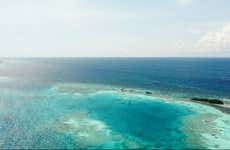 Tour di Spanish Lagoon e Mangel Halto in kayak + Snorkeling