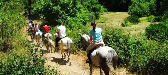 Balade à cheval dans le nord d'Aruba