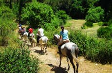 Balade à cheval dans le nord d'Aruba