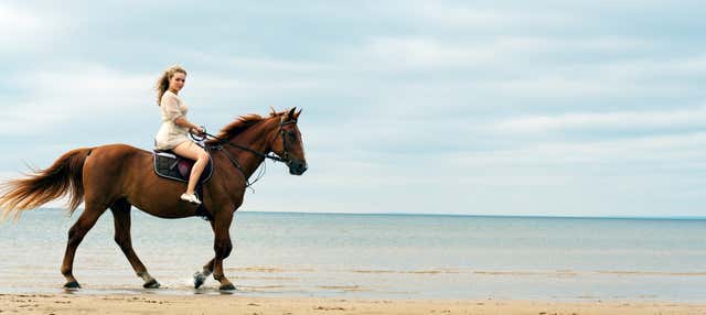 Passeggiata a cavallo sulla spiaggia di Wariruri