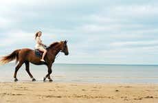 Passeggiata a cavallo sulla spiaggia di Wariruri