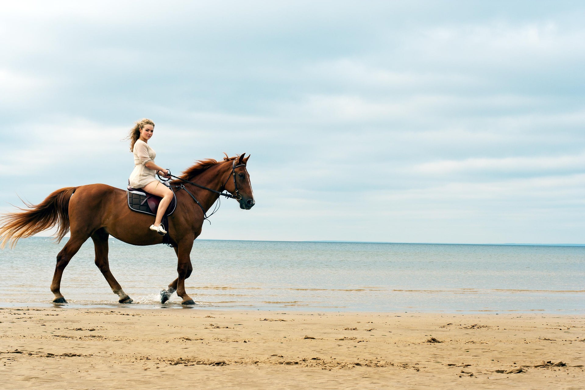 Balade à cheval sur la plage de Wariruri