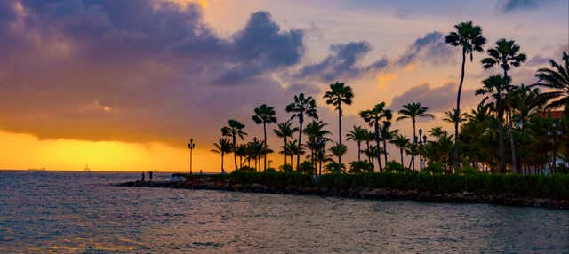 tour parque arikok Paseo en catamarán por Aruba al atardecer