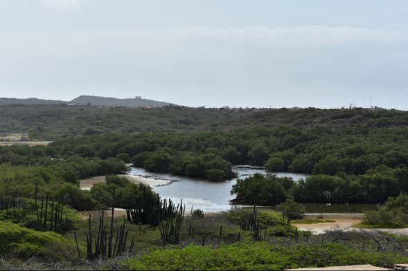 Randonnée à la Laguna Española