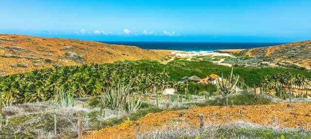 Tour en 4x4 por el Parque Nacional de Arikok