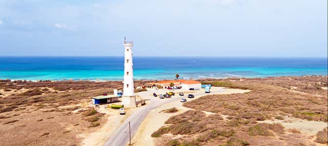 Balade en buggy à Aruba