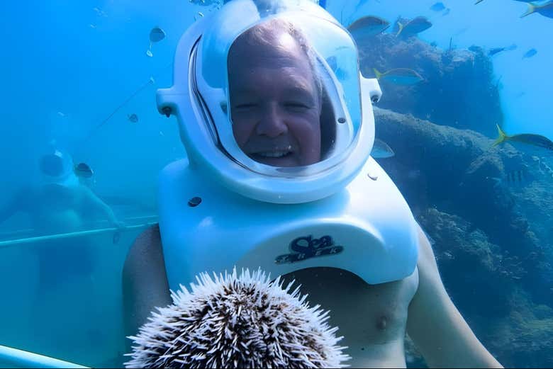 Disfrutando del Sea Trek en las aguas de Phillisburg