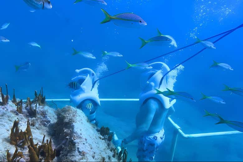 Nos internaremos en el mar por una escalera