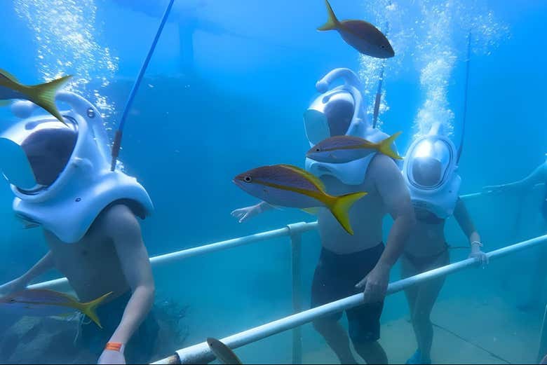 ¡Una aventura en las aguas que bañan Phillipsburg!