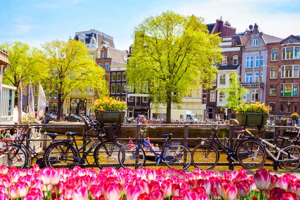 Excursión a Ámsterdam para cruceros