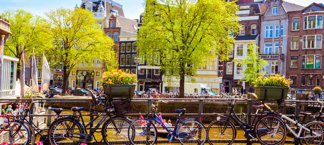 Excursión a Ámsterdam para cruceros