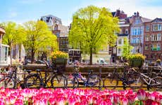 Excursión a Ámsterdam para cruceros