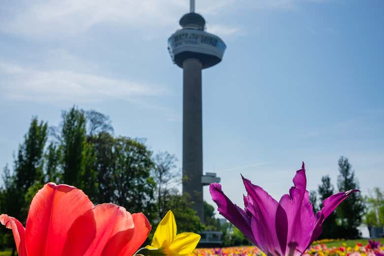 Torre Euromast di Rotterdam